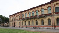 ARMONIE E AROMI: NOTE E RACCONTI DAL MONDO DELLE SPEZIE