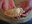 Cooking demonstration and tasting: empanadas e Romagna