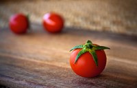 Il pomodoro venuto da lontano
