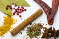 LE SPEZIE: ODORI E SAPORI DAL MONDO