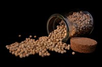 MASTER SPICE – SFIDA CULINARIA TRA CUOCHI DI MANIFATTURE ARCI