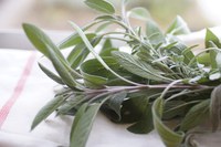 Mercato delle erbe