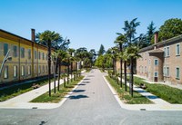 Passeggiata di gusto fra i viali del complesso dell’Osservanza