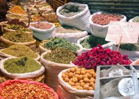 SULLE ORME DELLA STORIA DELLE SPEZIE A IMOLA