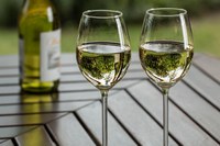 Un’albana buona da Matti. Un brindisi al territorio, alle cantine e a una nuova identità condivisa